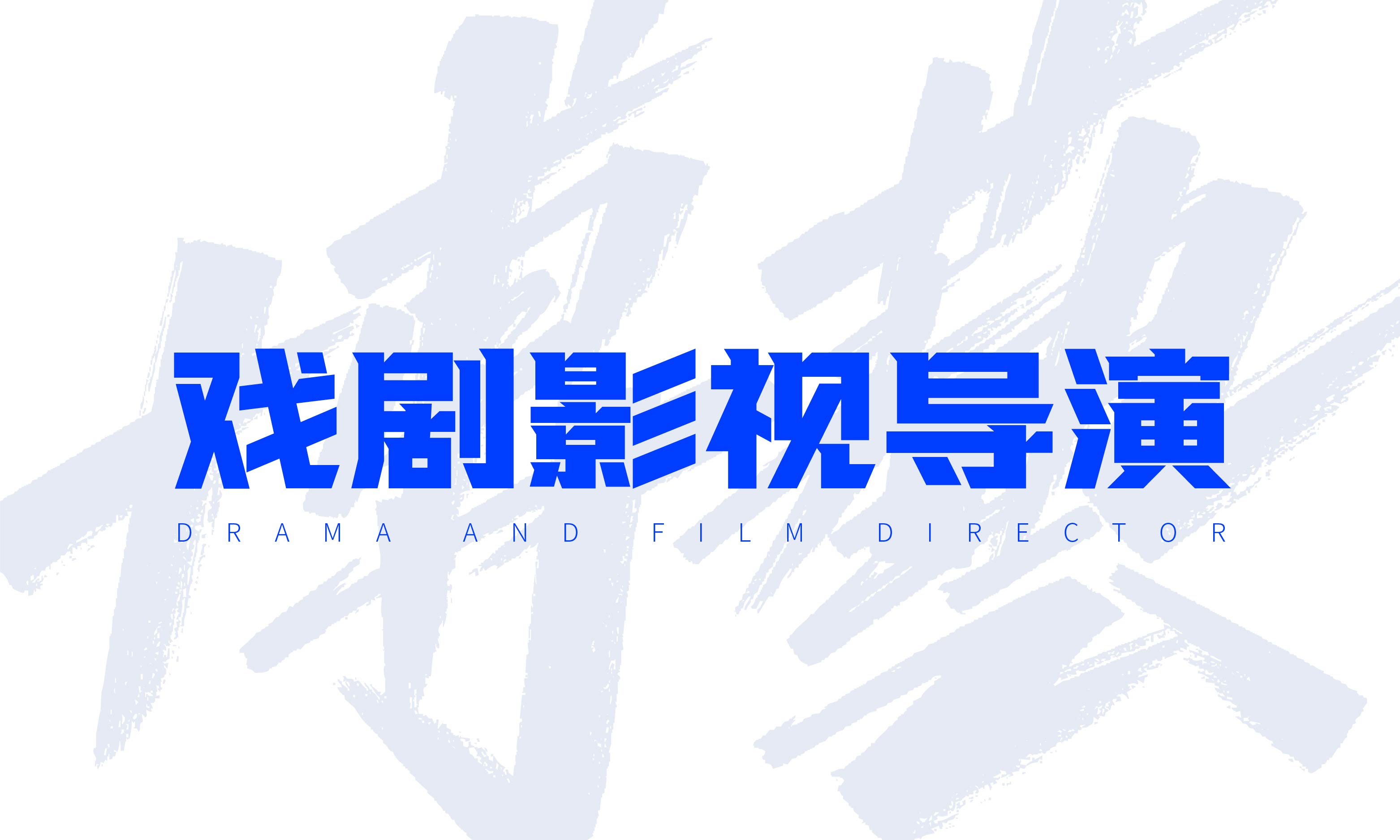 戏剧影视导演